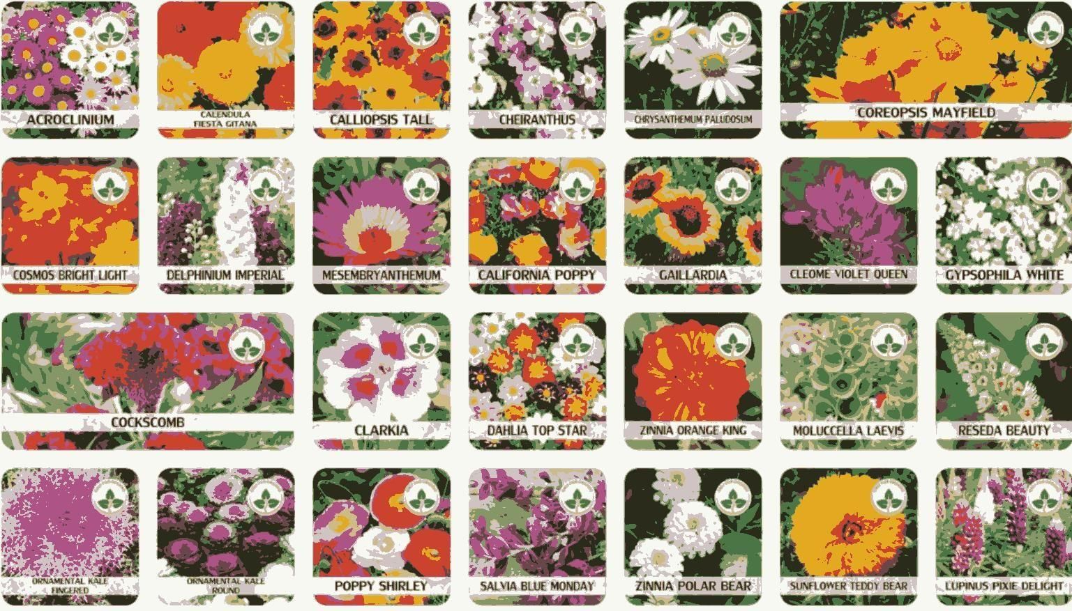 Varieties of Flower Seeds